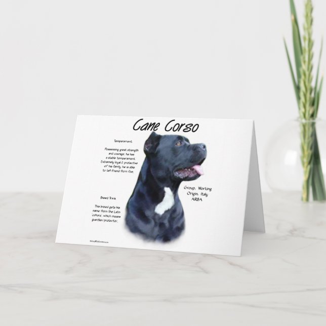Cane Corso History  Holiday Card (Front)