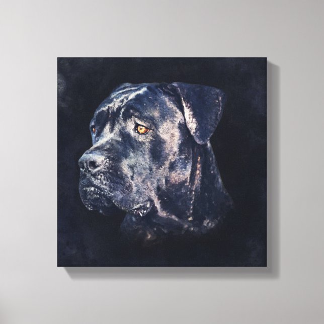 Cane Corso - Italian Mastiff Portrait Canvas Print (Front)