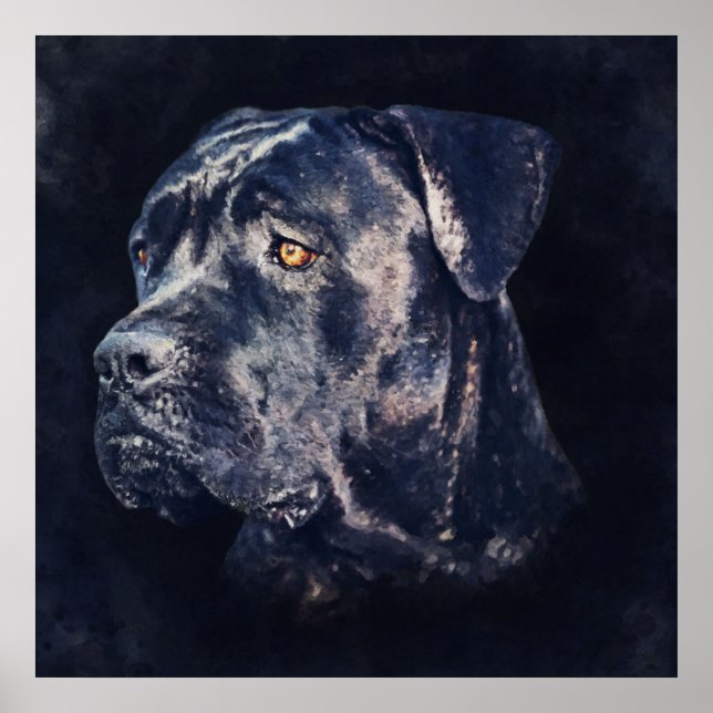 Cane Corso - Italian Mastiff Portrait Poster (Front)