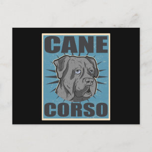 Cane Corso Italiano Dog   Cane Corsos Postcard