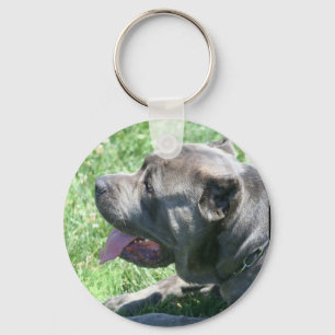 Cane Corso keychain