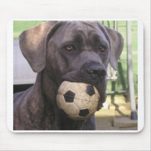 cane corso.png mouse pad