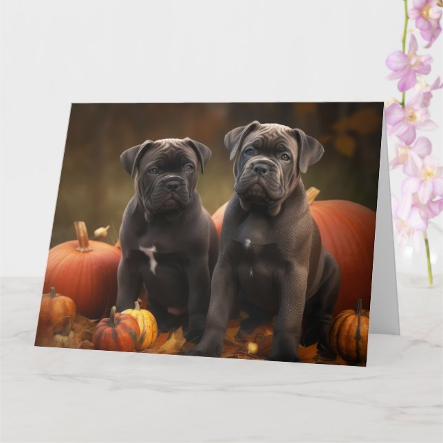 Cane Corso Puppy Autumn Delight Pumpkin Card (Orchid)