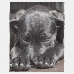Cane Corso Puppy Fleece Blanket