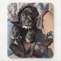 Cane Corso  Puppy Mouse Pad