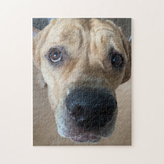 Cane Corso Puzzle