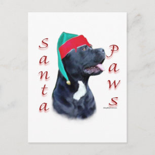 Cane Corso Santa Paws Holiday Postcard