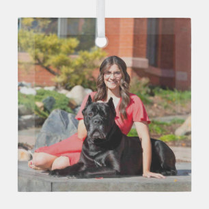 Cane Corso Special Order for CB Glass Ornament