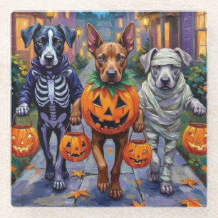 Cane Corso Trick-or-Treating in Halloween Costumes Glass Coaster