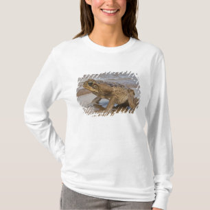 Cane Toad Rhinella marina, previously Bufo T-Shirt