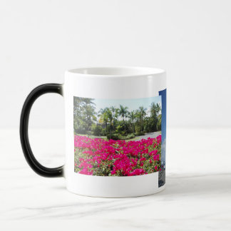 Caneel Bay, St John, USVI Magic Mug