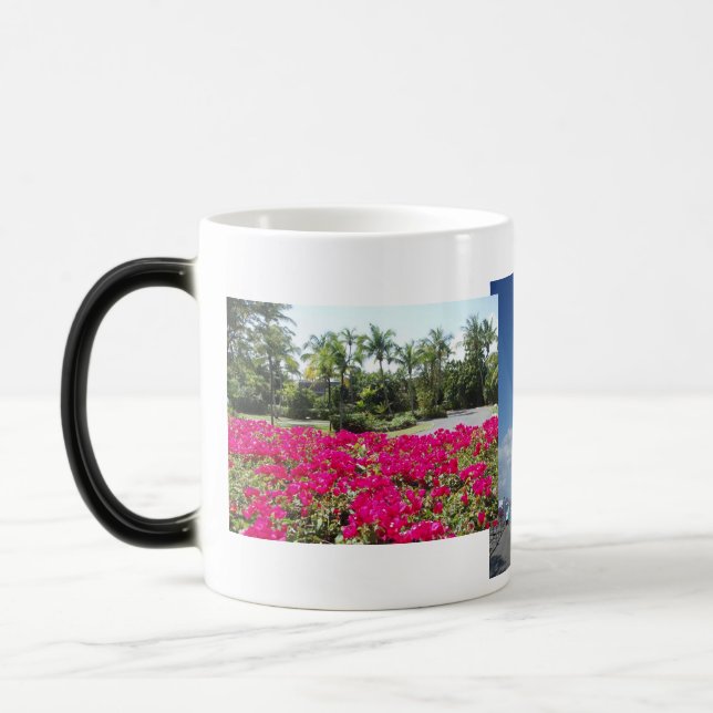 Caneel Bay, St John, USVI Magic Mug (Left)