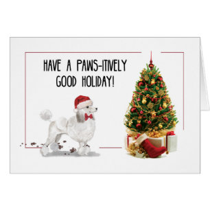 Caniche blanc Chien de Noël drôle avec arbre