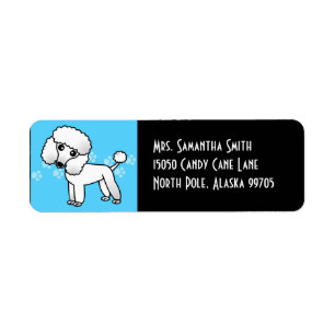 Caniche blanc mignon - bleu et noir