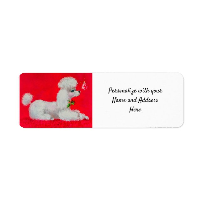 Caniche blanche sur tapis rouge Noël (Devant)