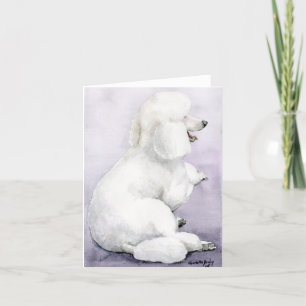 Caniche standard blanc étendant la carte de note