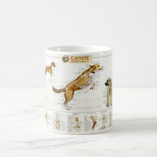 Canine Anatomy Mug