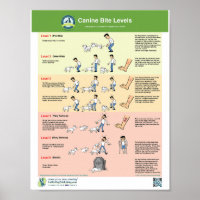 Canine Bite Levels