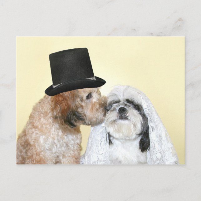 Canine Bride and Groom Postcard (Front)