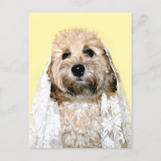 Canine bride or bridesmaid postcard