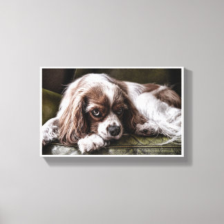 Canine Canvas Print