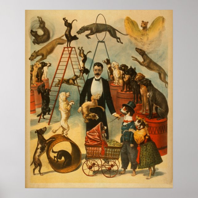 Canine Circus ! - Affiche théâtrale #2 (Devant)