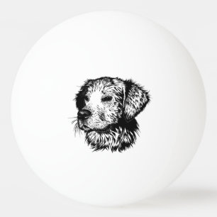 Canine Head Sketch  Ping Pong Ball