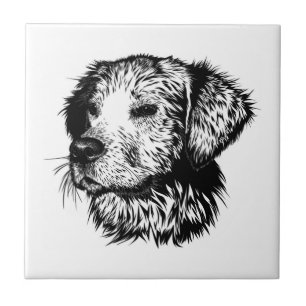 Canine Head Sketch  Tile