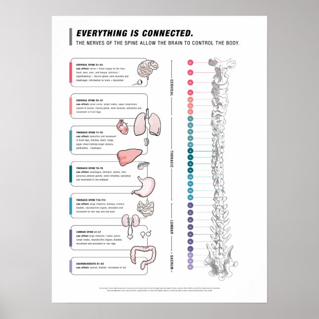 Canine Poster (Front)