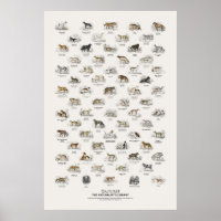 Canines - Naturalist's Library