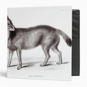 Canis Antarcticus Binder