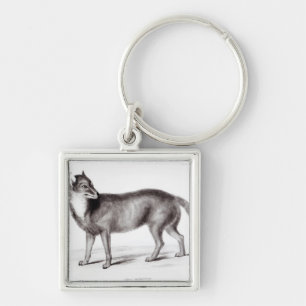 Canis Antarcticus Keychain