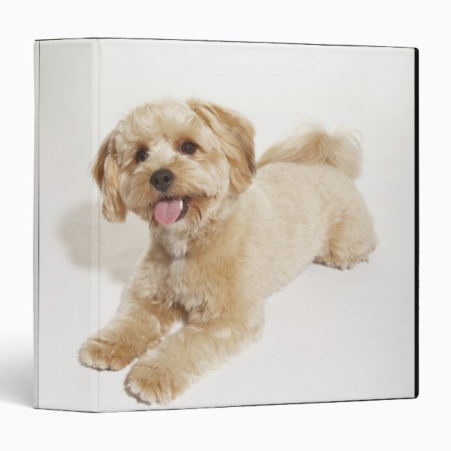 Canis familiaris binder (Front/Spine)