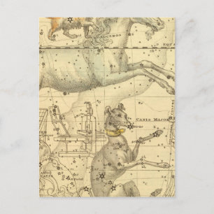 Canis Major, Canis Minor, Monoceros, Argo Navis Postcard
