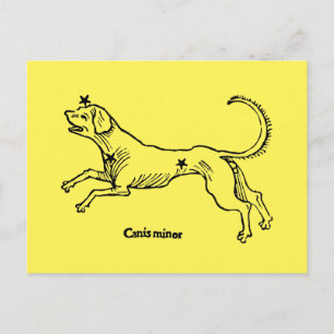 Canis Minor, 1482 Postcard