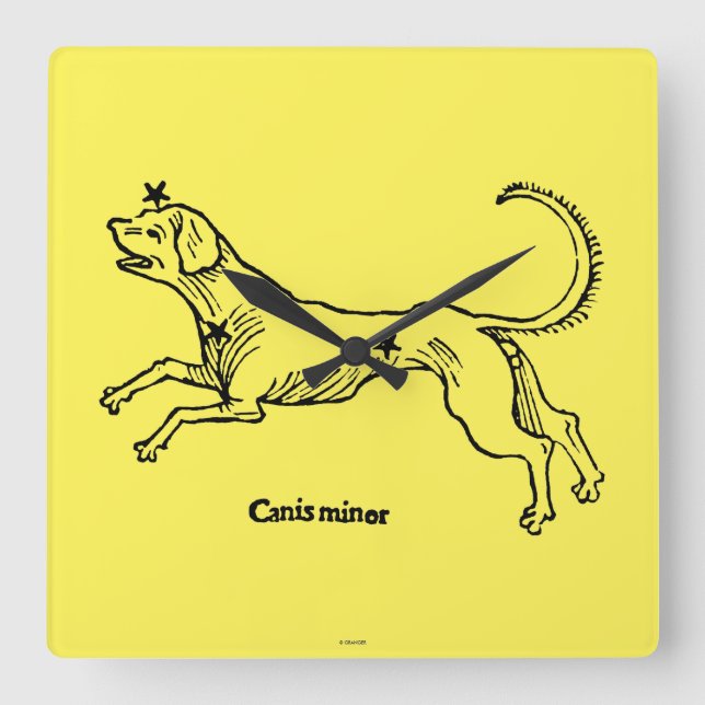 Canis Minor, 1482 Square Wall Clock (Front)