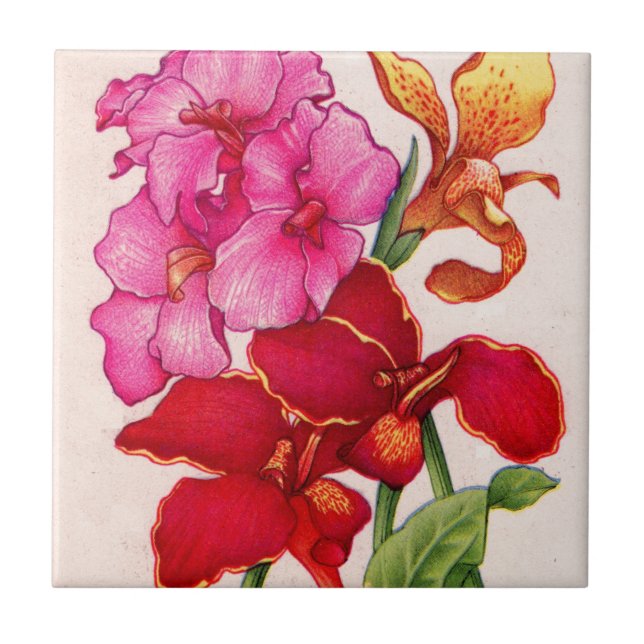canna flowers tile (Front)
