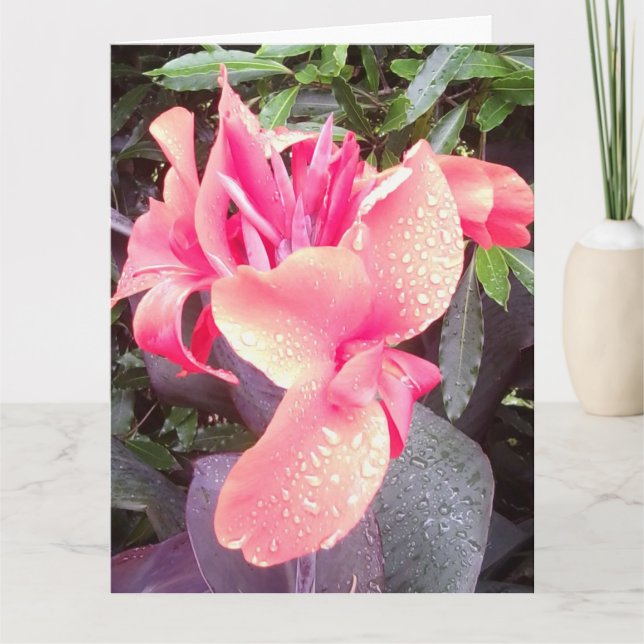 Canna Lily Photo BIG Card & Insp photo/words rear (Front)