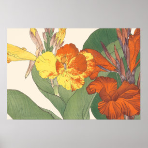 Canna Lily Poster