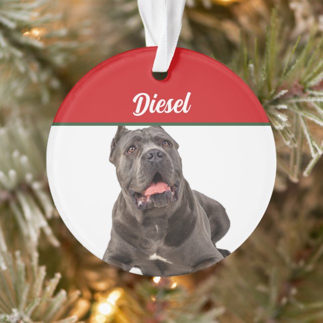 Canne Corso Chien de vacances Noël (Arbre)