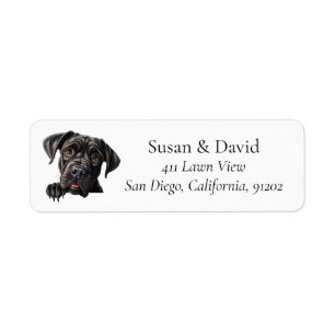 Canne Corso Chien race Animaux Amateurs