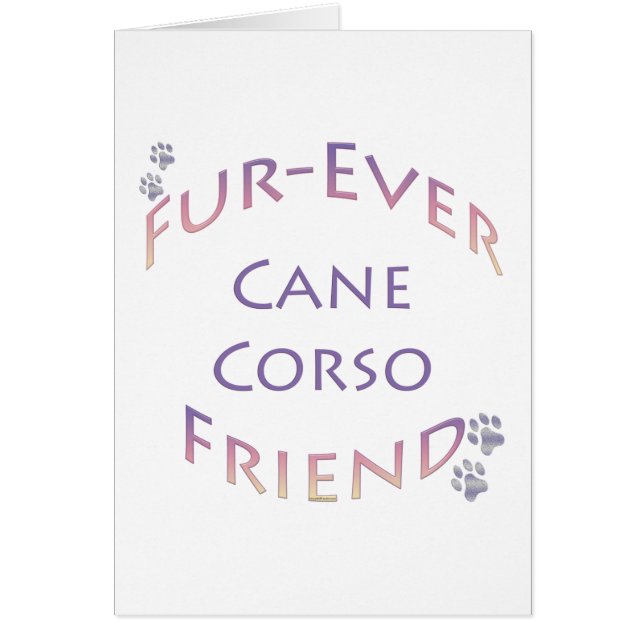 Canne Corso Furever (Devant)