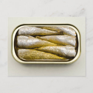 Canned Sardines Postcard