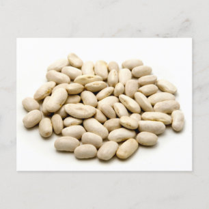 Cannellini beans  postcard
