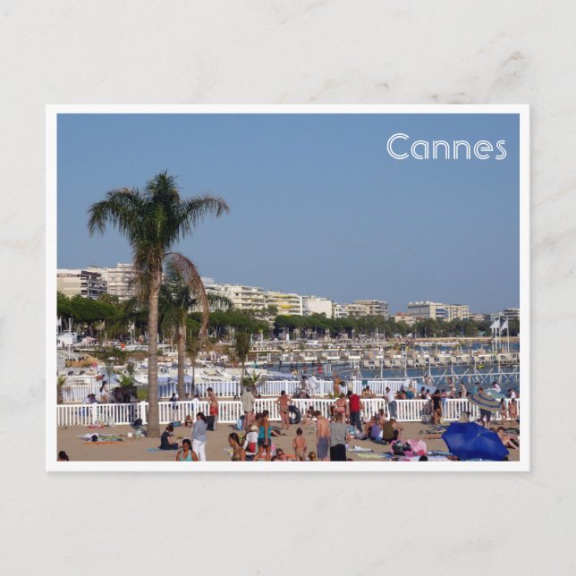 cannes coastline postcard (Front)