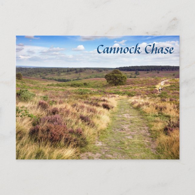 Cannock Chase in Staffordshire souvenir photo Postcard (Front)