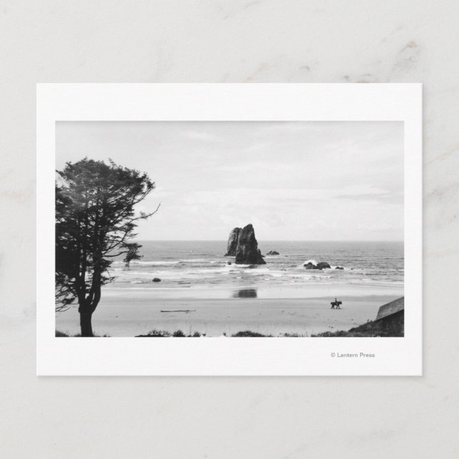 Cannon Beach, Oregon Scene with The Needles Postcard (Front)