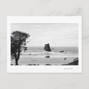 Cannon Beach, Oregon Scene with The Needles Postcard