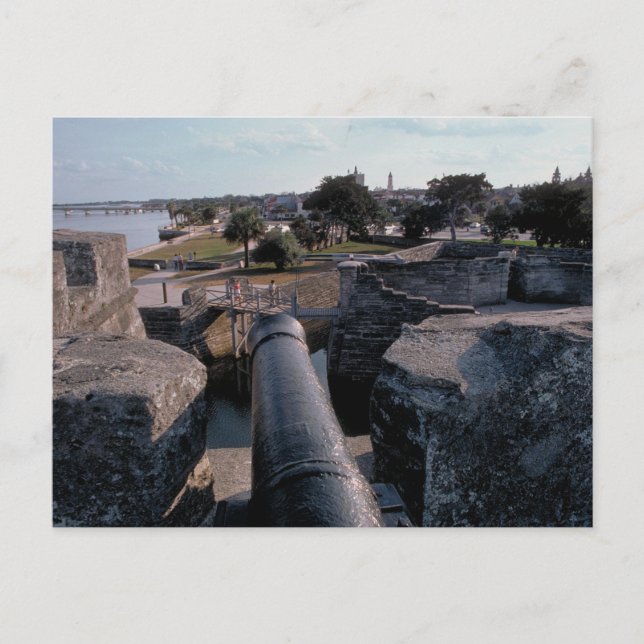 Cannon on Castillo de San Marcos Postcard (Front)