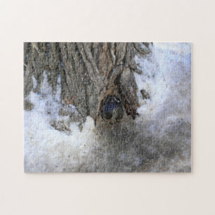 Cannonball Tree, Old Quebec City, Quebec, Canada Jigsaw Puzzle